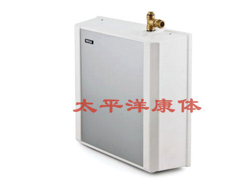 瑞典TYLO 蒸气设...