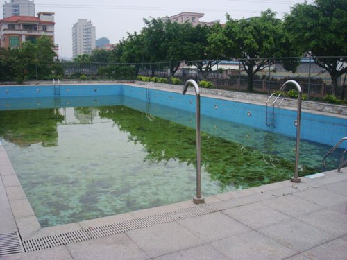 东莞游泳池工程